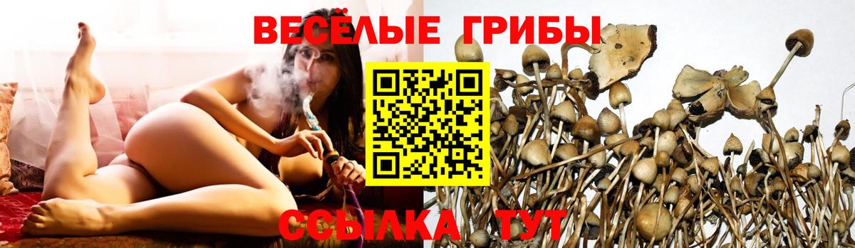 Алушта  Псилоцибиновые грибы ЛСД  Псилоцибиновые грибы Psilocybe  где найти наркотики  Вход с VPN 